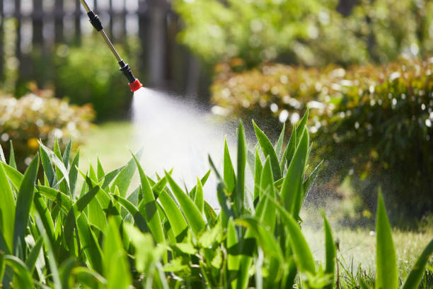 Tamper-Resistant Bait Stations for Rodents in Bayou La Batre