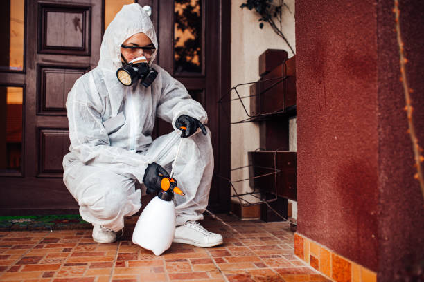 Attic and Crawl Space Rodent Treatment in Bayou La Batre