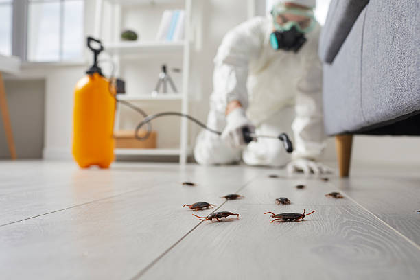 Commercial Rodent Management in Bayou La Batre